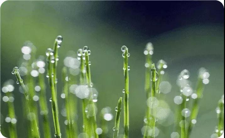 春為(wèi)一(yī)年(nián)之首,調理(lǐ)至關重要(yào)!春季消瘤不(bù)開(kāi)玩(wán)笑(xiào)!