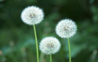 子(zǐ)宮肌瘤的(de)防治思路(lù)